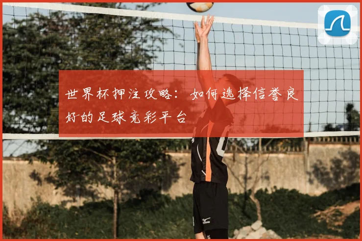 世界杯押注攻略：如何选择信誉良好的足球竞彩平台