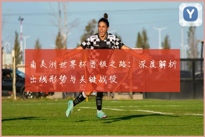 南美洲世界杯晋级之路:深度解析出线形势与关键战役