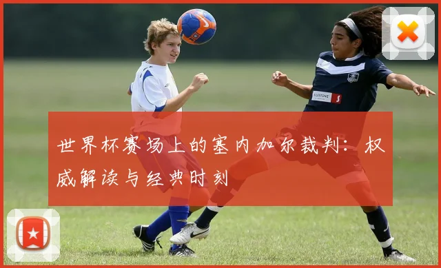 世界杯赛场上的塞内加尔裁判:权威解读与经典时刻