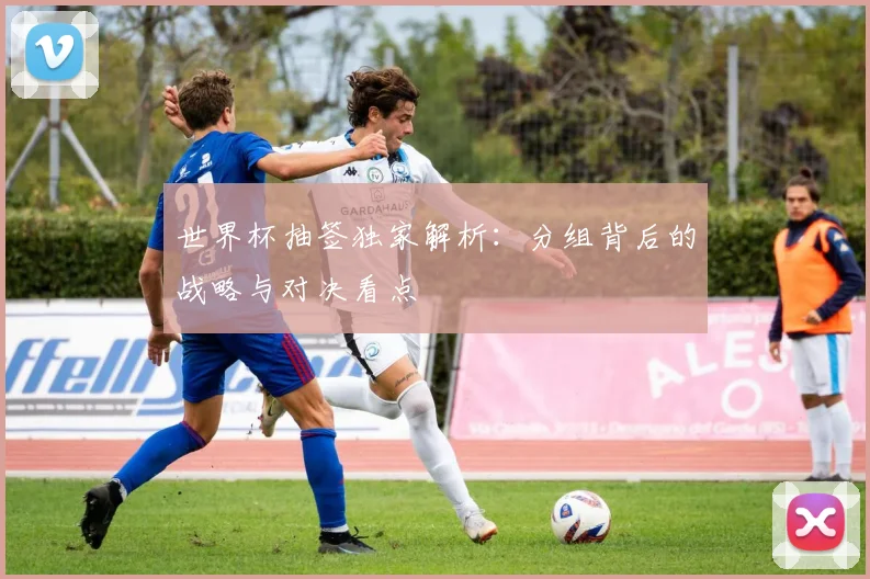 世界杯抽签独家解析：分组背后的战略与对决看点