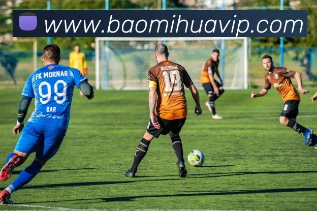 App Interface Preview