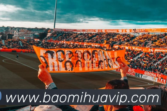 亚美体育APP 封面图